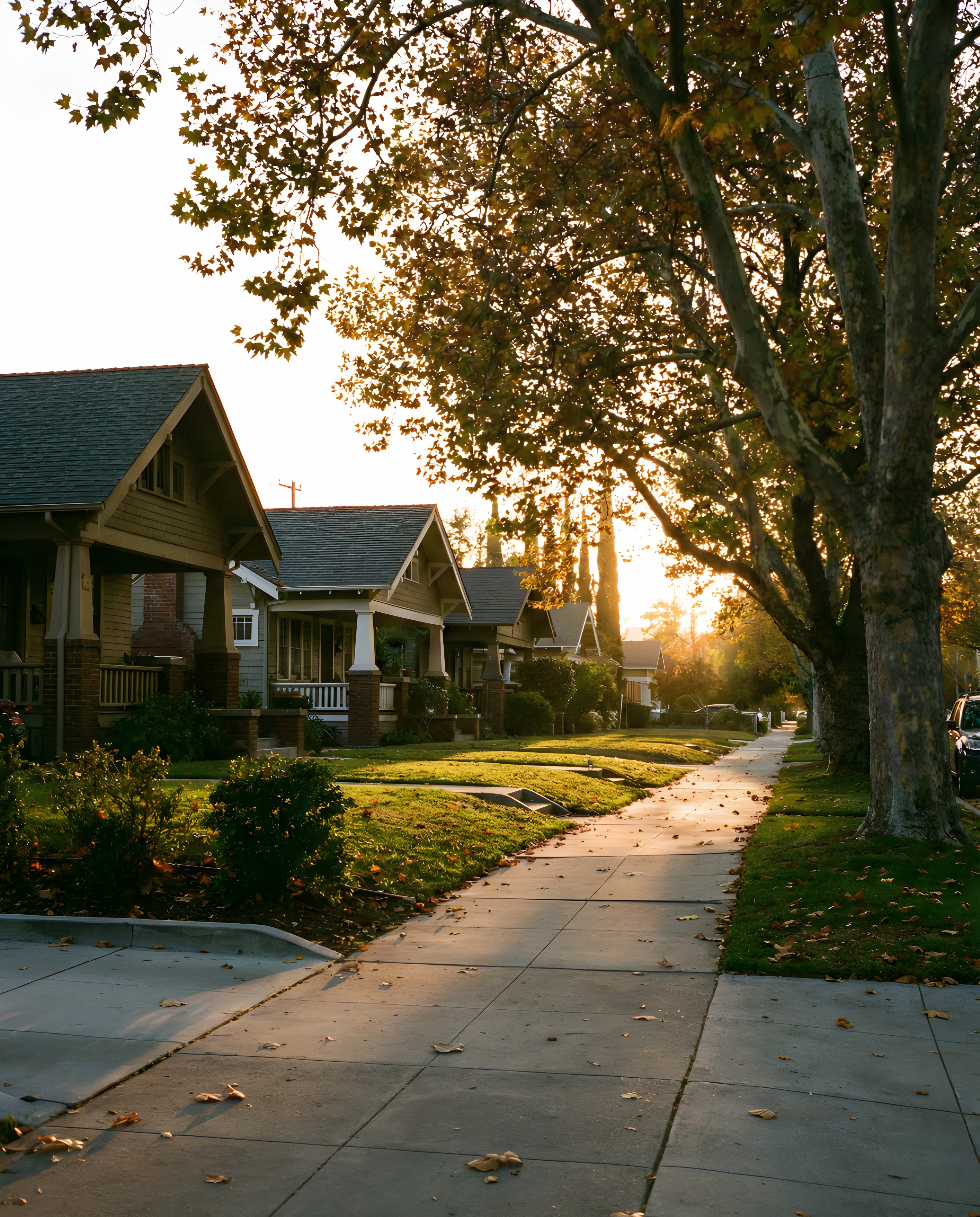 Easy evening walk outdoors to support relaxation and better sleep