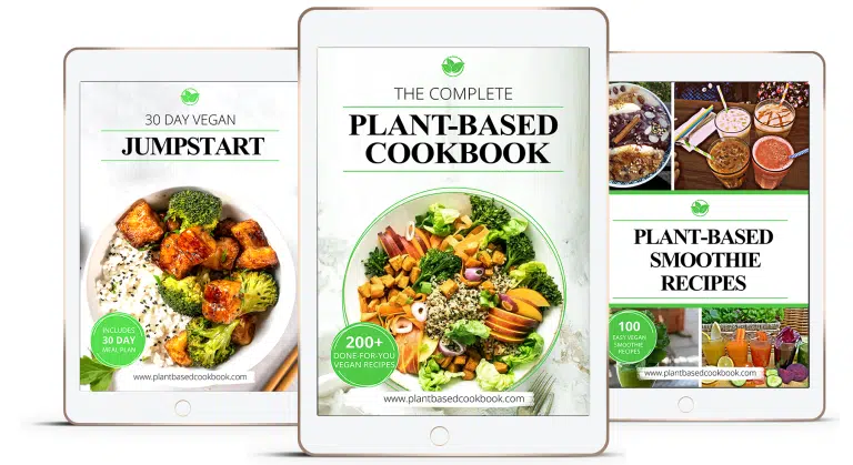 Plant-Based Recipes Bundle